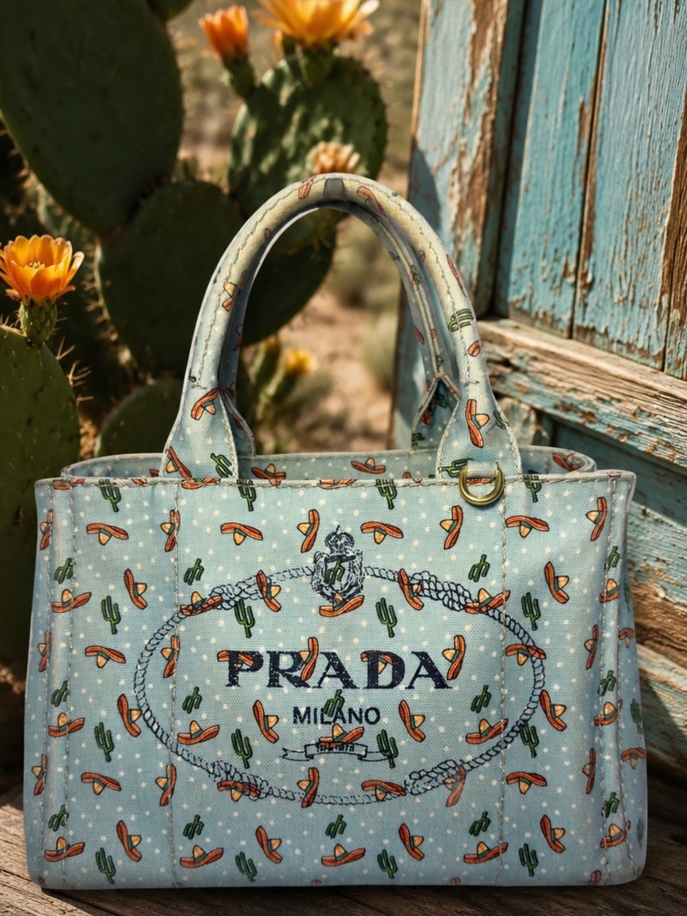 Prada Canapa Sombrero Print